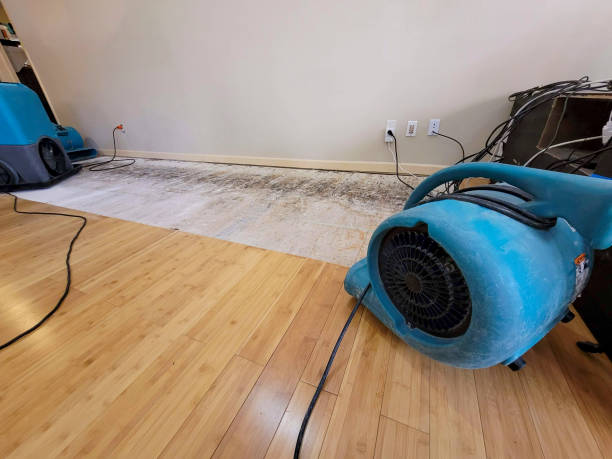 Professional Basement Flood Cleanup technician working in Hayfield, VA